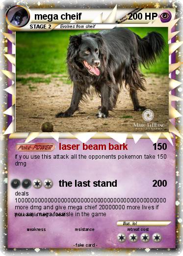 Pokemon mega cheif
