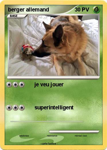 Pokemon berger allemand