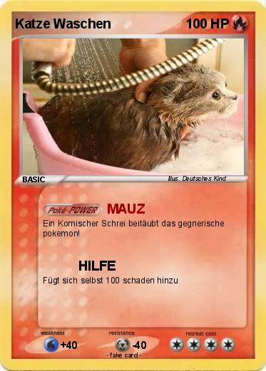 Pokemon Katze Waschen