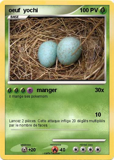 Pokemon oeuf  yochi