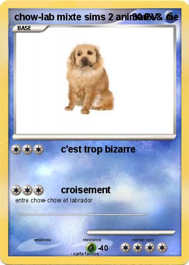 Pokemon chow-lab mixte sims 2 animaux & cie