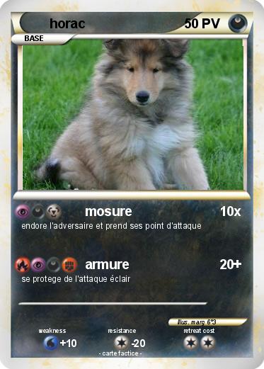 Pokemon horac