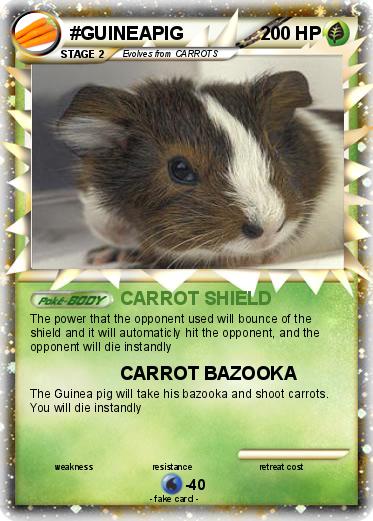 Pokemon #GUINEAPIG