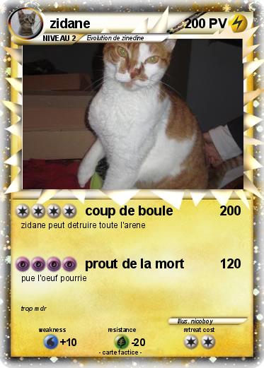 Pokemon zidane