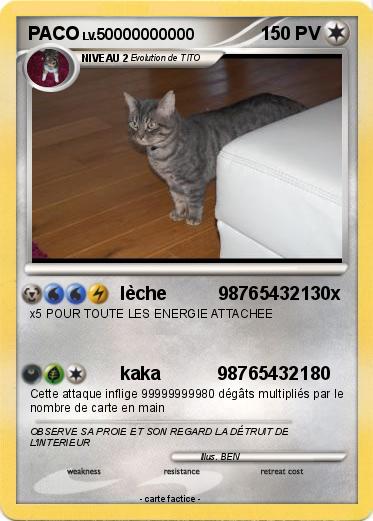 Pokemon PACO