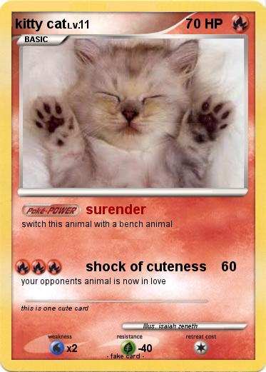 Pokemon kitty cat