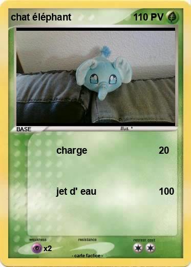 Pokemon chat éléphant