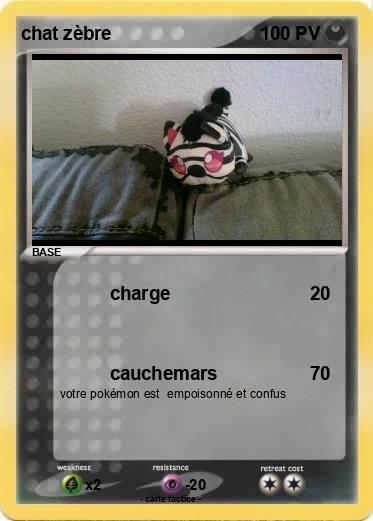 Pokemon chat zèbre