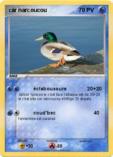 Pokemon car narcoucou