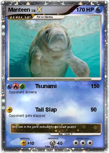 Pokemon Manteen