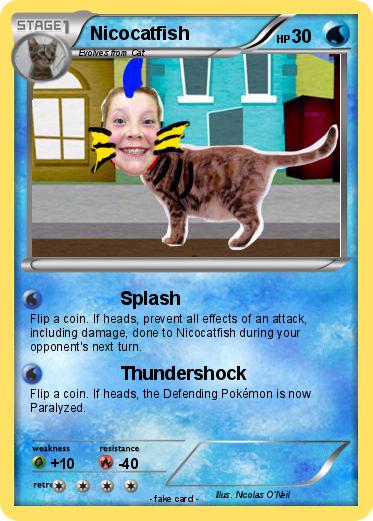 Pokemon Nicocatfish