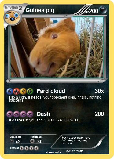 Pokemon Guinea pig