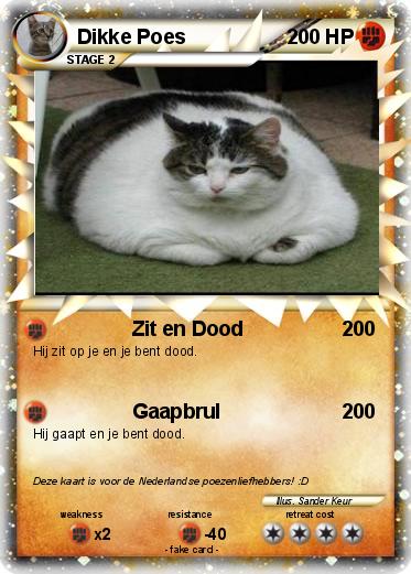 Pokemon Dikke Poes