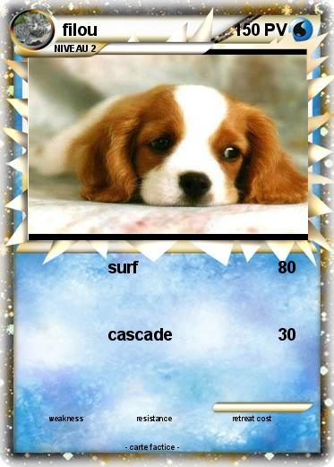Pokemon filou