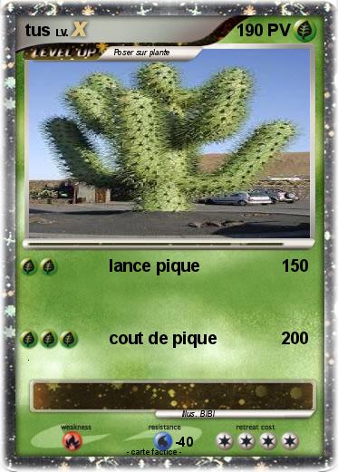 Pokemon tus