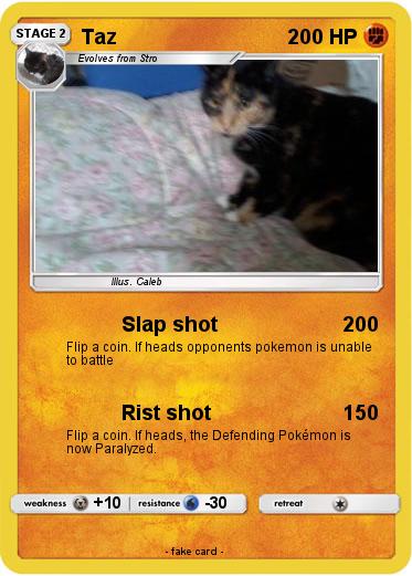 Pokemon Taz
