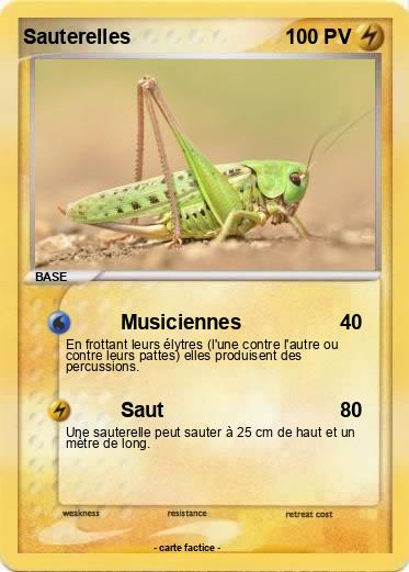 Pokemon Sauterelles