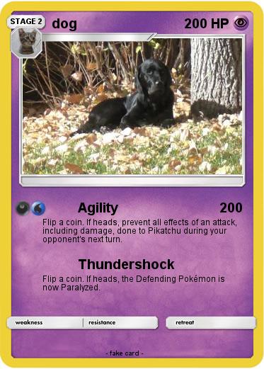 Pokemon dog
