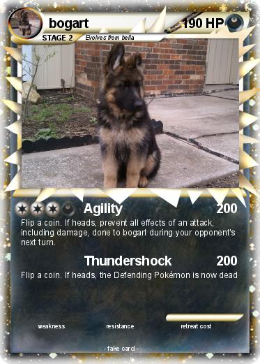 Pokemon bogart