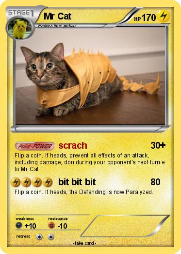 Pokemon Mr Cat