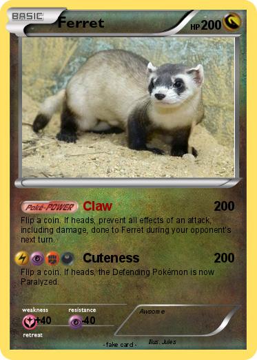 Pokemon Ferret