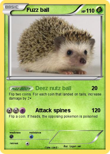 Pokemon Fuzz ball