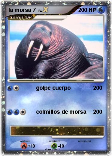 Pokemon la morsa 7