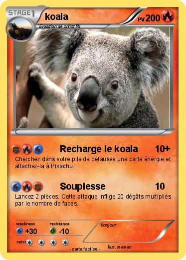 Pokemon koala