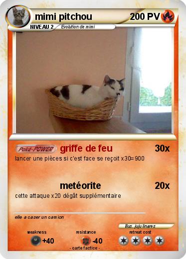 Pokemon mimi pitchou