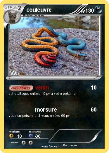 Pokemon couleuvre