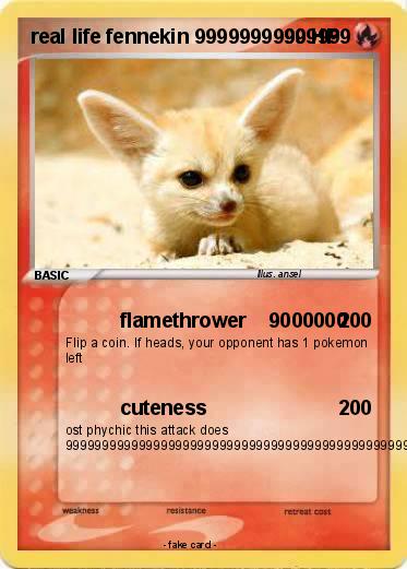 Pokemon real life fennekin 99999999999999