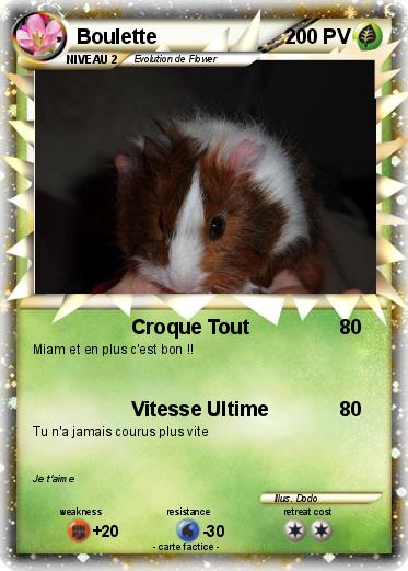 Pokemon Boulette