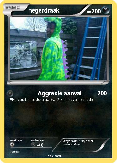Pokemon negerdraak