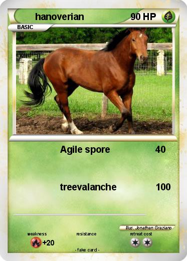 Pokemon hanoverian