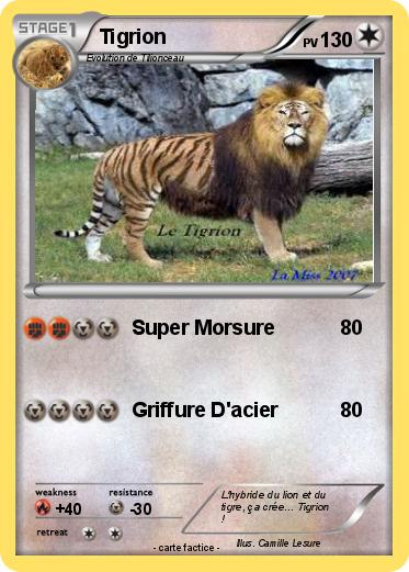 Pokemon Tigrion
