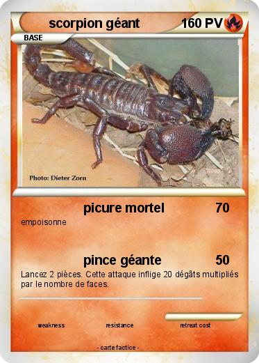 Pokemon scorpion géant