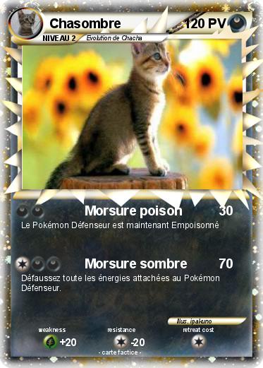 Pokemon Chasombre