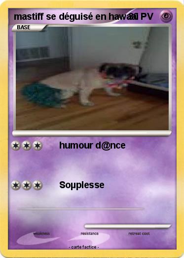 Pokemon mastiff se déguisé en hawaai