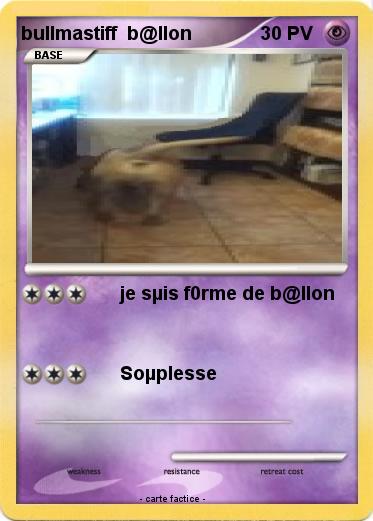 Pokemon bullmastiff  b@llon