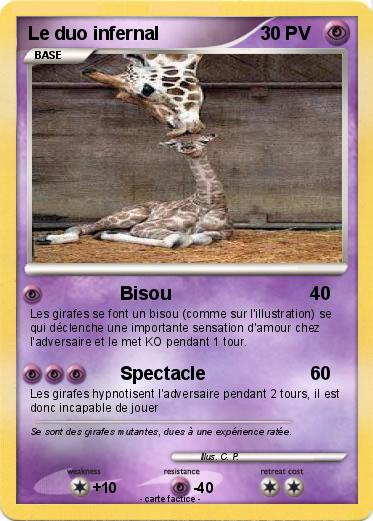 Pokemon Le duo infernal