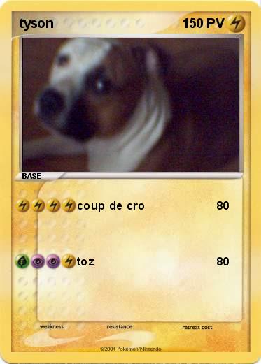 Pokemon tyson