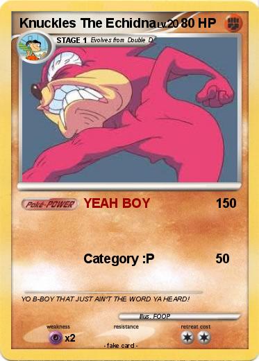 Pokemon Knuckles The Echidna