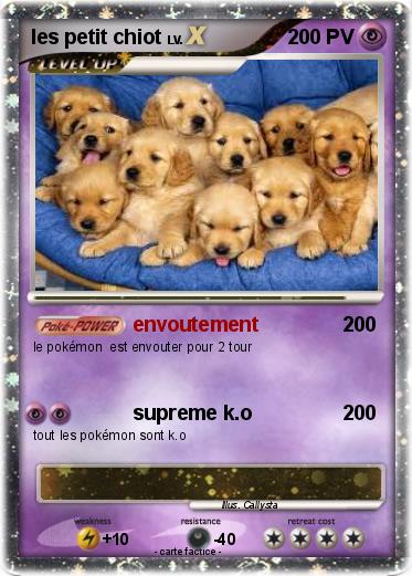 Pokemon les petit chiot