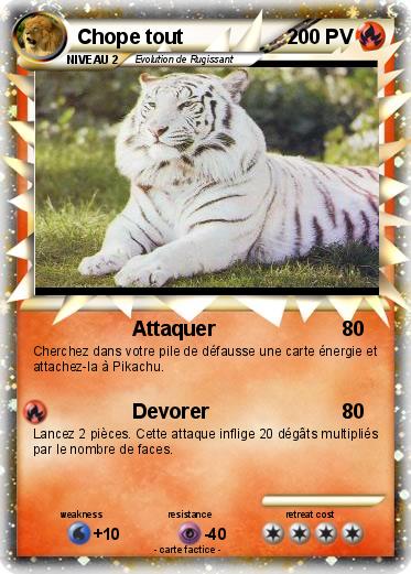Pokemon Chope tout