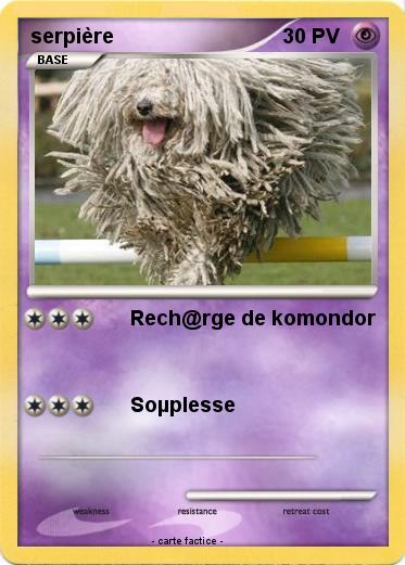 Pokemon serpière