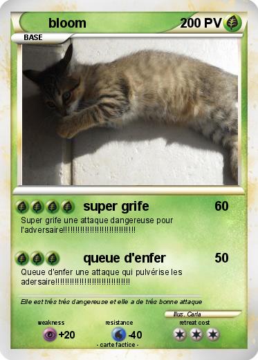 Pokemon bloom