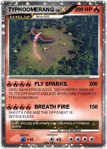 Pokemon TYPHOOMERANG