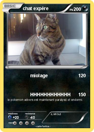 Pokemon chat expère
