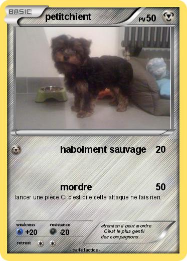 Pokemon petitchient