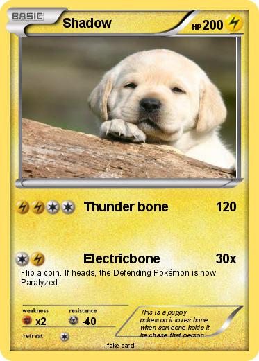 Pokemon Shadow